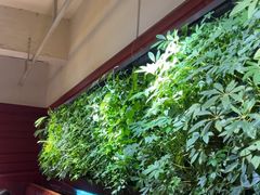 -巴奴毛肚火锅(广益哥伦布店)