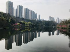 -重庆彩云湖湿地公园