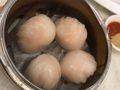 虾饺-乙龍天