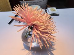 -月芽· 璞上餐厅·上天竺店