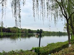 -西安汉城湖景区