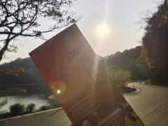 -广州市石门国家森林公园