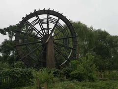 -溱湖国家湿地公园