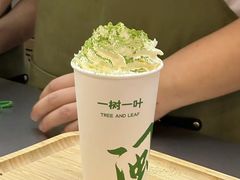 -一树一叶·福建茶档(石鼓路店)