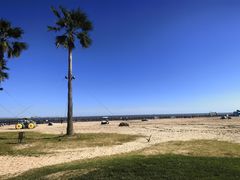 -碧海金沙
