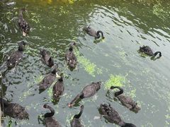 -长白岛森林公园