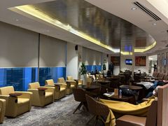 -英迪拉·甘地国际机场