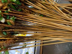-晓靖轩烧烤(沙河风情店)