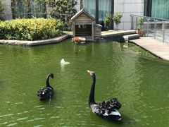 -南京圣和府邸豪华精选酒店