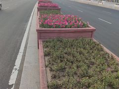 -星光岛