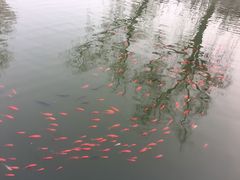 -迎泽公园