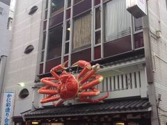 -蟹道乐(道顿堀本店)