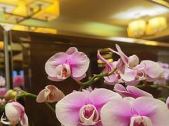 -和平宾馆(王府井店)