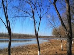 -东郊湿地公园