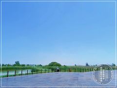-盐城丹顶鹤湿地生态旅游区