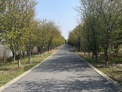 -苏州太湖国家湿地公园