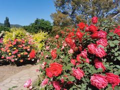 -国家植物园南园