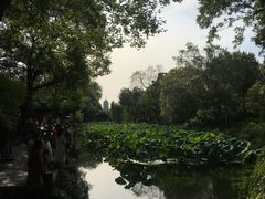 -拙政园