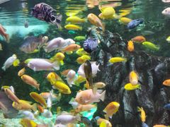 -太平洋海底世界