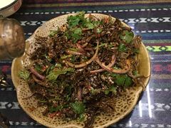 凉拌树皮-昆虫窝子·特色云南菜(拓东路总店)