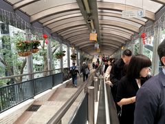 -中环半山扶手电梯