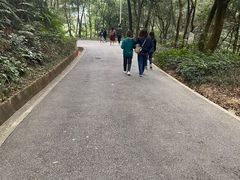 -广州市帽峰山景区