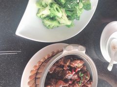 -云中小雅