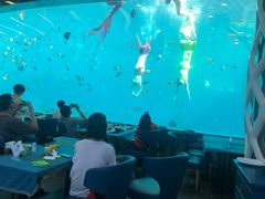 -瑞德姆美人鱼海底演艺主题餐厅(亚龙湾店)