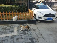 -巴黎贝甜(五月花广场店)