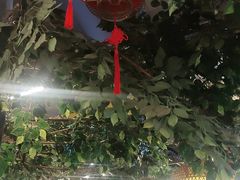 -成老灶火锅鸡(平山店)