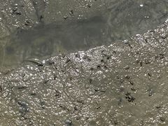 -北海金海湾红树林生态旅游区