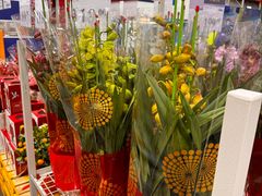 -山姆会员商店(亦庄创意生活广场店)