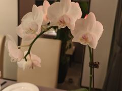 -墨宴(西洋湖店)