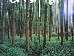 -山王坪喀斯特国家生态公园