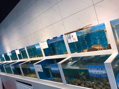 水产区-韩记海鲜饺子旗舰店(红海新区店)