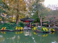 -杭州植物园