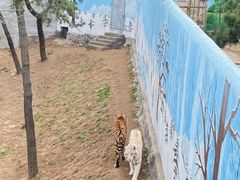 -西霞口神雕山野生动物世界