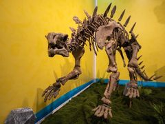 -上海博物馆(人民广场馆)