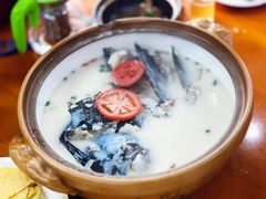 -全乐鱼馆·淳牌有机鱼直营店