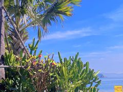 -大梅沙海滨公园-停车场