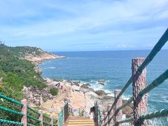 -广东惠东海龟国家级自然保护区