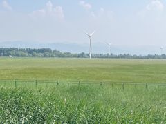 -野鸭湖国家湿地公园