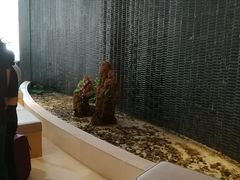 -天津水游城丽筠酒店