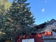 -五台山风景名胜区-罗睺寺