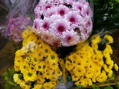 -沪花拾者(好再来花卉鲜花店)