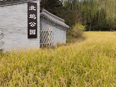 -北坞公园