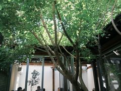 -VOYAGE COFFEE(杨梅竹店)