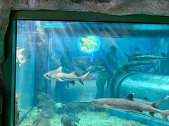 -福州罗源湾海洋世界旅游区