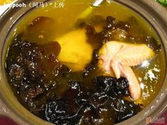 土鸡汤-新南华大酒店(长寿店)