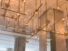 -新加坡乌节希尔顿酒店 (SG Clean)